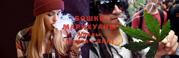 прущие грибы Елабуга