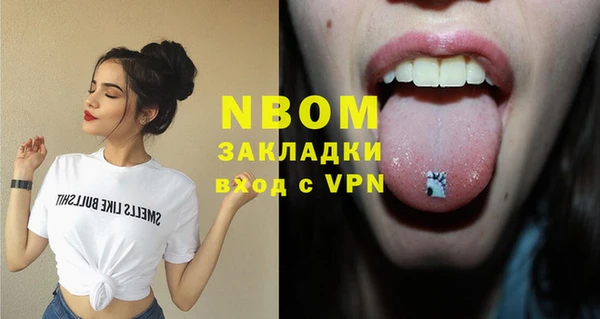 прущие грибы Елабуга