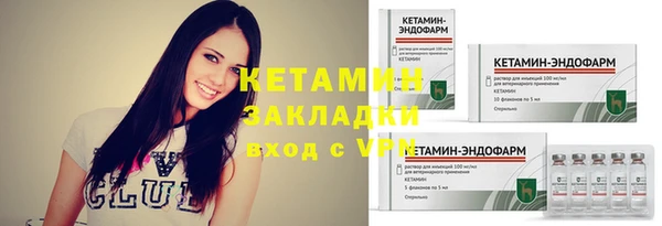 прущие грибы Елабуга