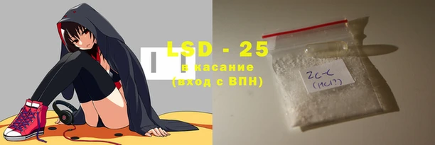 прущие грибы Елабуга
