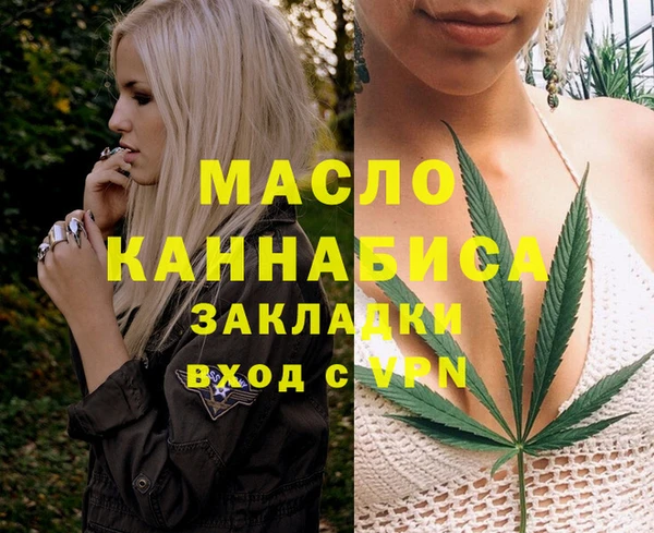 прущие грибы Елабуга