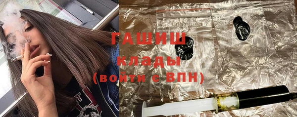 прущие грибы Елабуга