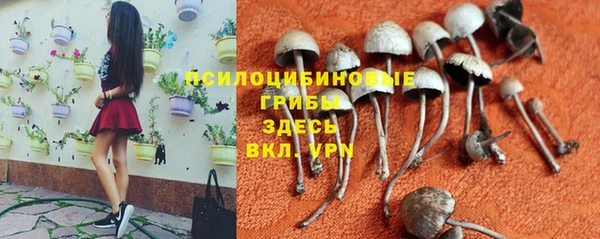 скорость mdpv Ельня