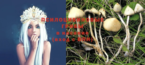 прущие грибы Елабуга