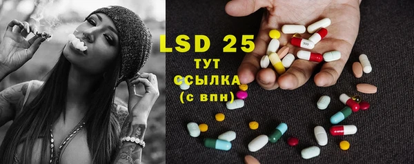 прущие грибы Елабуга