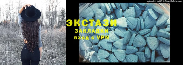 прущие грибы Елабуга