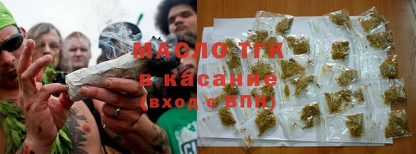 прущие грибы Елабуга
