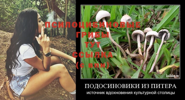 синтетический гашиш Елизово