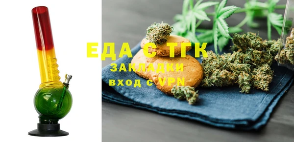 прущие грибы Елабуга