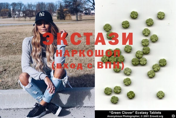 прущие грибы Елабуга